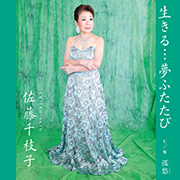 佐藤千枝子/生きる…夢ふたたび